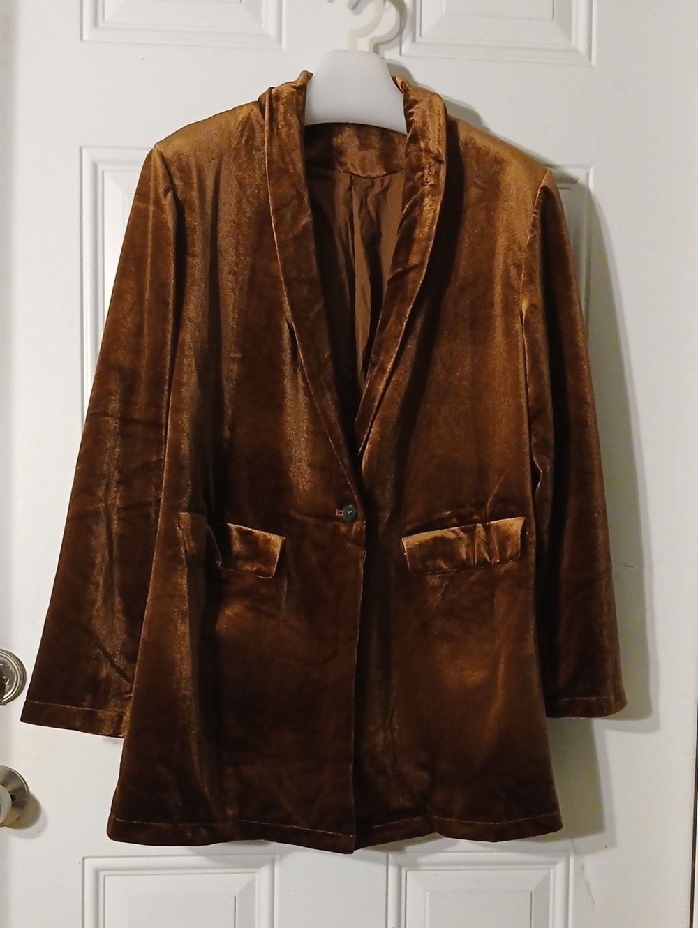Classic Velvet Blazer Jacket - Brown